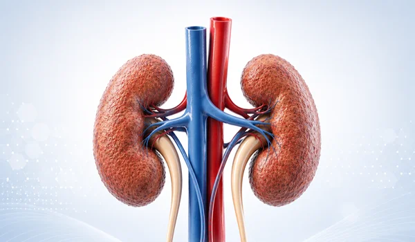 Kidney Failure treatment in Nagpur